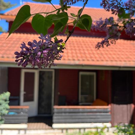 Vila Junda Neringa Exterior photo